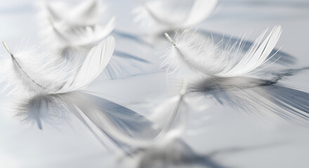 Obraz premium Delicate plumes and feather shadows gracefully settle on cool marble, evoking serene elegance and weightlessness in a cinematic close-up. Ideal for luxury branding, wellness, spa, mindfulness,