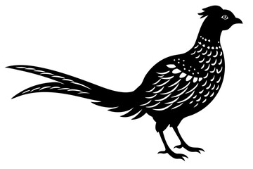 Obraz premium Pheasant Bird silhouette vector, Pheasant black symbol.Pheasant bird icon 