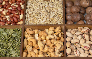 Mixed nut background: pine nuts, pistachios, cashews, almonds, hazelnuts, peanuts, macadamia, pecans,
