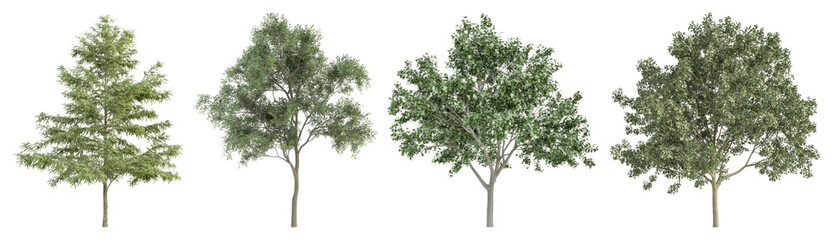 Fototapeta premium PNG Lush green trees in variety, transparent background