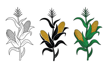 Cartoon corn stalk plant, playful clipart showing outline, silhouette and colorful versions, farm crop concept. vector
