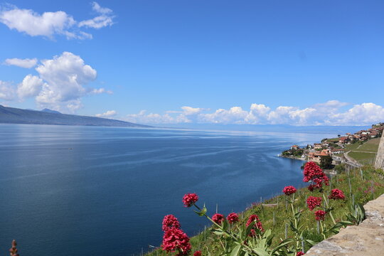 Le Lavaux dans toute sa splendeur