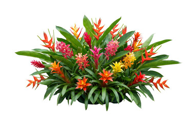 Lush Tropical Flower Arrangement With Exotic Red, Yellow and Pink Blooms isolated on White or transparent background Cutout png