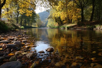Obraz premium Serene river flowing through vibrant autumn forest landscape