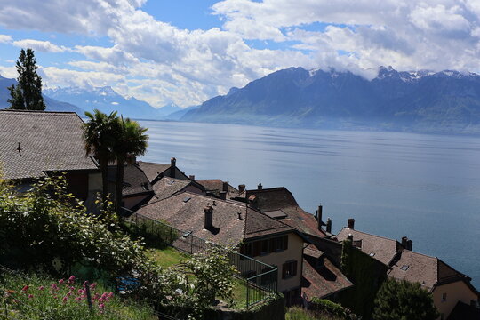 Le Lavaux dans toute sa splendeur 
