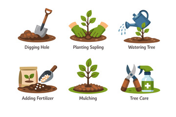 Gardening steps: planting, watering, fertilizing, mulching, tree care guide