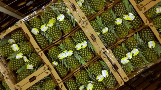 Warehouse with pineapple in boxes