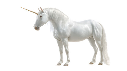 White unicorn toy with golden horn standing isolated on transparent background