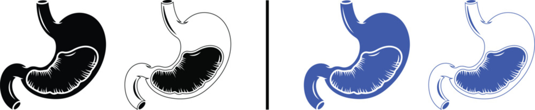 of human stomach anatomy icon isolated on white background, black and blue vector illustration of digestive system organ for medical and health concepts.