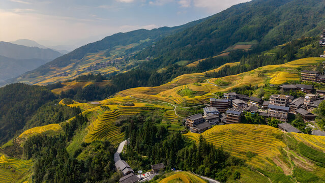 Golden Rice Terraces of Longsheng Mountain Valley, China
