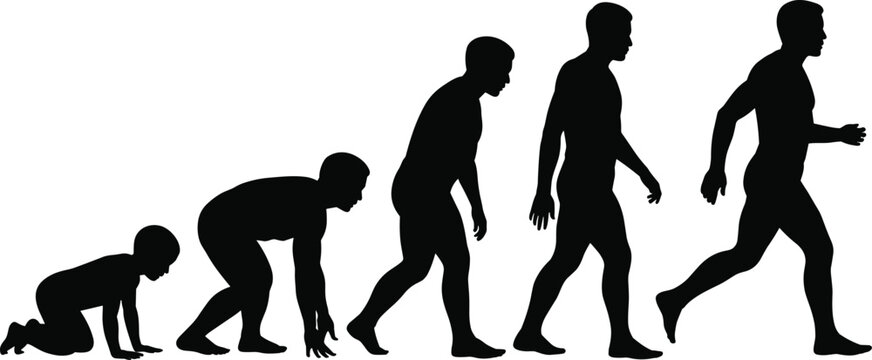 Human Growth Silhouette Sequence &ndash; Crawling to Walking Progression for Educational, Biological, and Developmental Illustration of Physical Maturity and Evolutionary Stages
