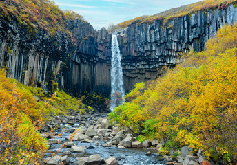 Svartifoss waterfall cascades down dramatic basalt columns in Iceland. Surrounded by vibrant autumn colors, it showcases the unique geology of the area. © Kotangens