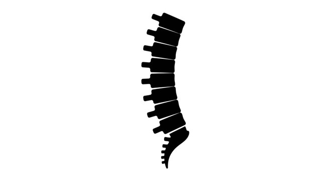 Human spine silhouette isolated on white background.