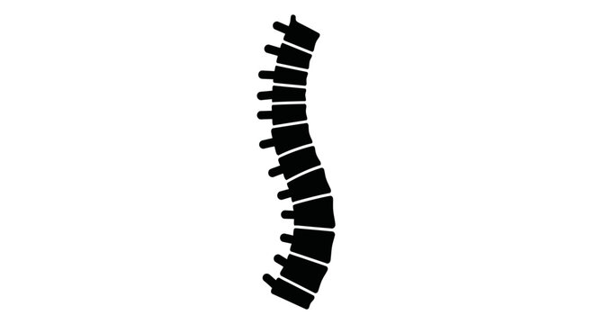 Human spine silhouette illustration on white background.