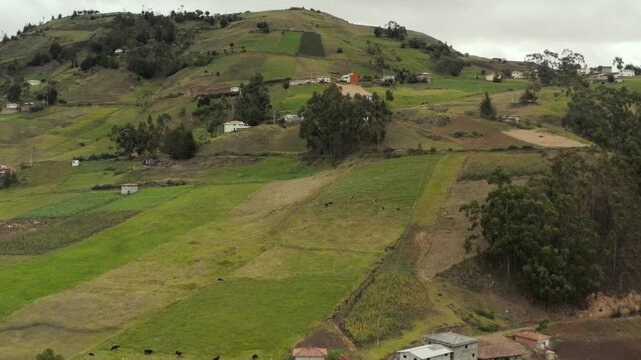 Farms and fields in the Andes in Ecuador, drone aerial view