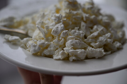 Cottage cheese. Cheese. Healthy food. Food for children. Breakfast. Cheese plate.