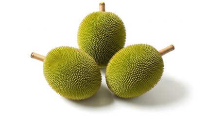 Three whole green breadfruit with stems on a white background