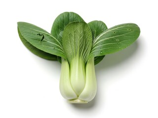 Fresh Green Bok Choy Vegetable Isolated on White Background