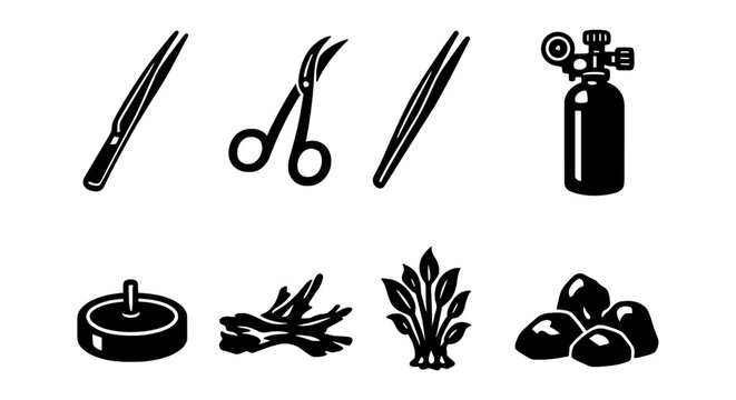 Aquascaping tools and elements: scissors, tweezers, co2, rock, driftwood, plant