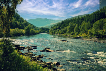 Mountain river in autumn. Norway