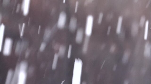 Starker Schneefall im Winter, Wetter, Hintergrund, Teleaufnahme