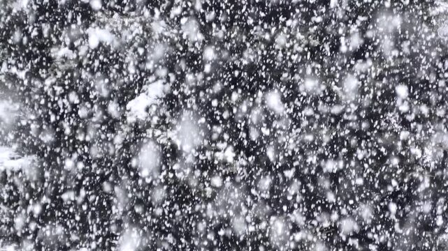 Starker Schneefall im Winter, Wetter, Teleaufnahme