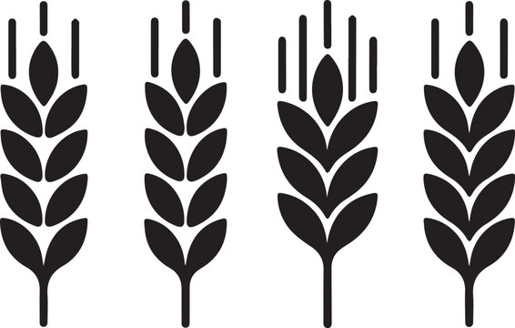  Wheats rye rice ears set icons design elements of organic agricultural food. Harvest wheat grain for beer logo, growth rice stalk and whole bread grains, barley field cereal nutritious - stock vector