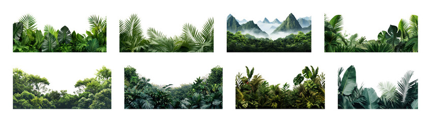 Naklejka premium PNG Lush tropical foliage landscape borders, transparent background