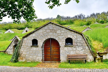 Obraz premium Cellar Row in Hegyalja