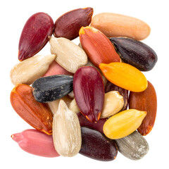 Close-up view of a pile of various colorful, smooth, and vibrant shelled seeds