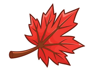 Vibrant red maple leaf with brown stem and veins