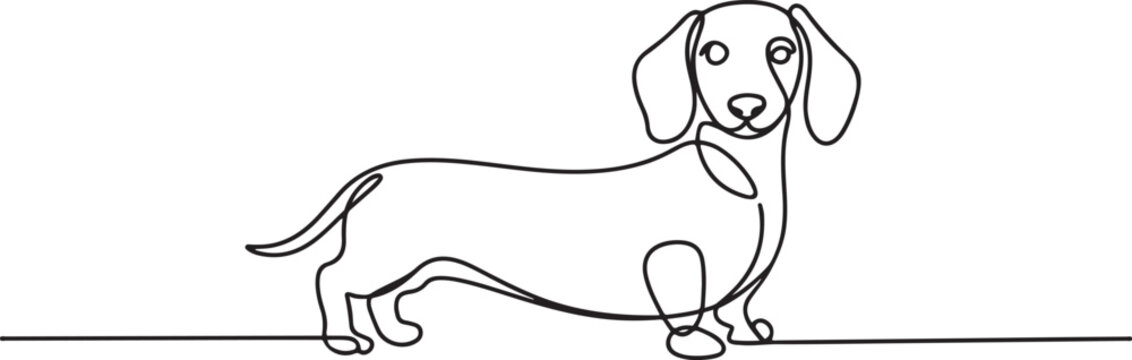 Hound dog in continuous one line drawing. Single line art illustration of adorable dachshund dog. one line Art icon drawing vector