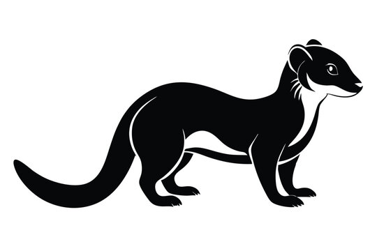 mongoose silhouette line art vector illustration with a white background