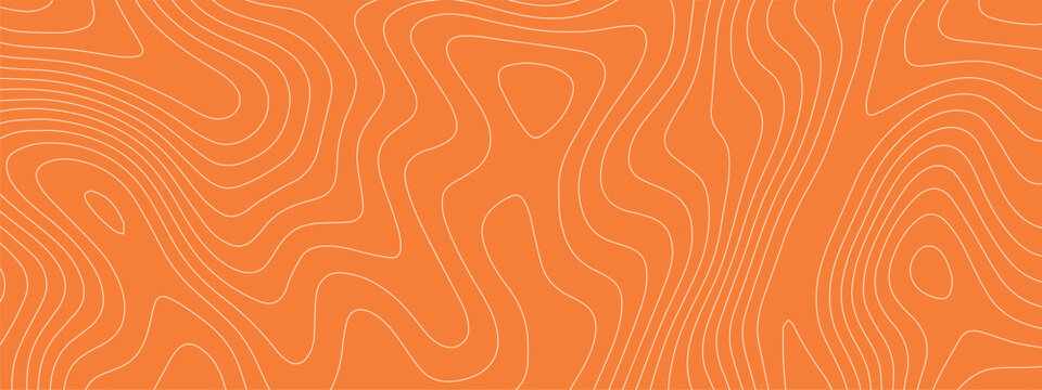 Sushi bg salmon and meat tuna fish with pattern texture abstract. Peach raw background and sushi fresh vector with gourmet orange bg. Japan sushi wave and sashimi meat beef with label tuna strip.