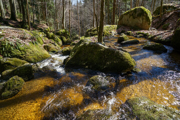 Forest Gorge Landscape with Hiking Path in Ysperklamm, Waldviertel