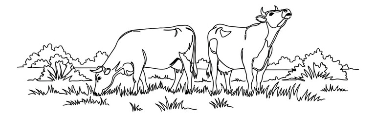 Obraz premium Hand drawn line art farm animal set featuring two cows grazing and standing in a pasture for agriculture and dairy themes