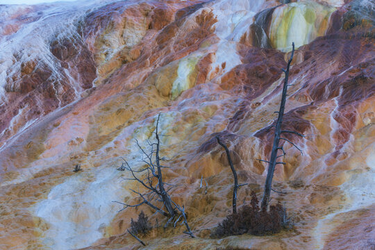 Aerial view of the colorful, textured terraces of Mammoth Hot Springs, a landscape painted in hues of orange, yellow, and white, Wyoming, United States.