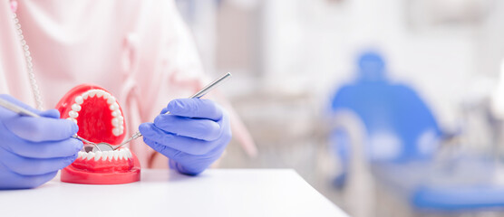 Dentist demonstrating dental hygiene with model teeth and tools, banner stomatology background...