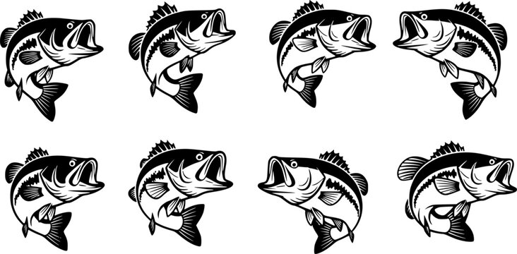  large bass fish in the mount jumping from the water