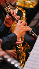 A detailed close-up shot of a musician's hands playing the oboe. Warm stage lighting highlights the instrument against a soft-focus background with golden bokeh, creating an elegant and focused mood © VeNN