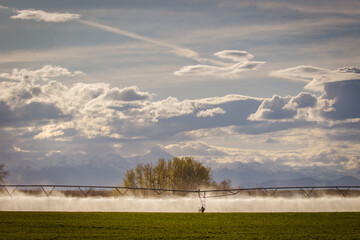 Irrigation sprinkler pivot in Idaho