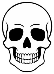 Fototapeta premium Black and White Skull Illustration