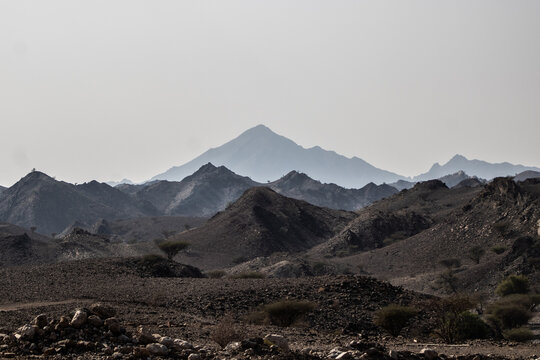 View of arid, rocky terrain stretching towards hazy blue mountains under a muted sky, a solitary tree standing out in the Omani landscape, Wadi Bani Khalid, Oman.