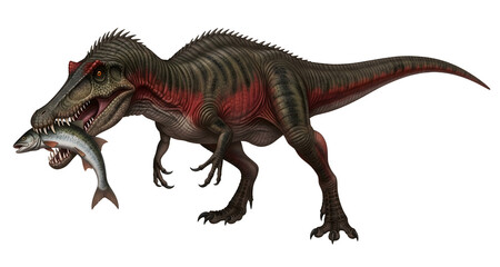 Obraz premium Suchomimus-tenerensis prehistoric dinosaur illustration with fish on its mouth, isolated on transparent background