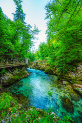 Obraz premium Wooden walkway through the Vintgar gorge near Bled lake in Slovenia, breathtaking views of the Radovna river