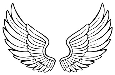 Obraz premium Two Outspread Wings Illustration Feathers Line Art Graphic Design Element