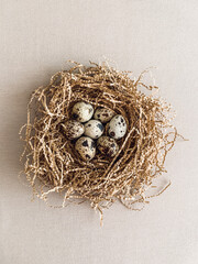 Quail eggs in a nest. Still life aesthetic