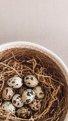 Quail eggs in a bowl. Still life aesthetic