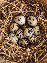 Quail eggs in a nest. Still life aesthetic