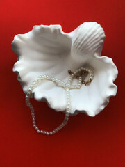 Pearl necklace and seashell on a red background